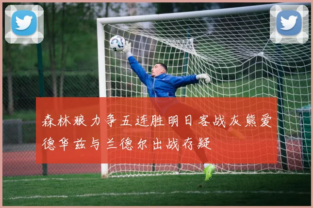 森林狼力争五连胜明日客战灰熊爱德华兹与兰德尔出战存疑