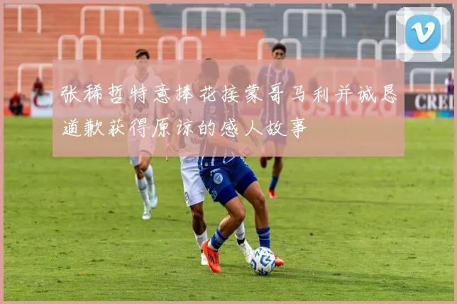 张稀哲特意捧花接蒙哥马利并诚恳道歉获得原谅的感人故事