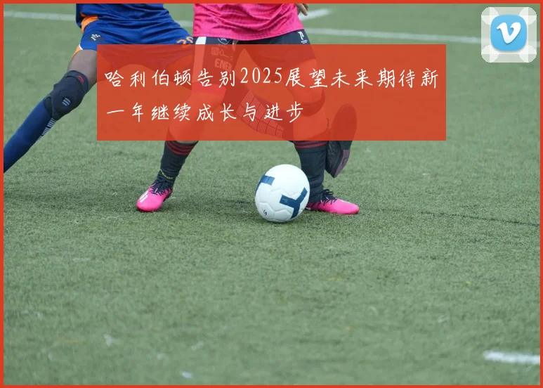 哈利伯顿告别2025展望未来期待新一年继续成长与进步