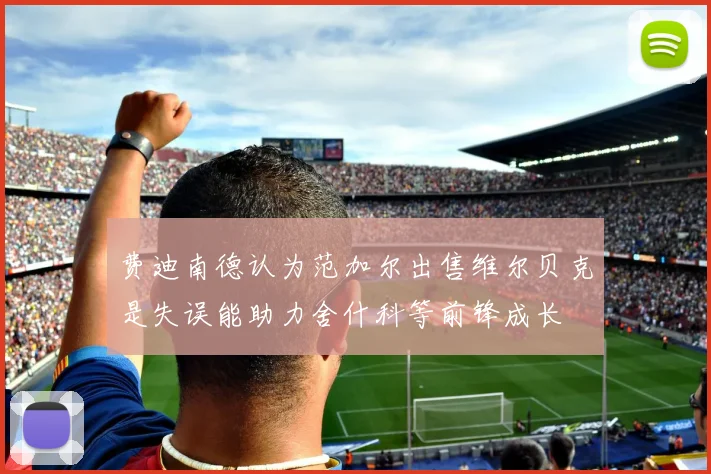 费迪南德认为范加尔出售维尔贝克是失误能助力舍什科等前锋成长