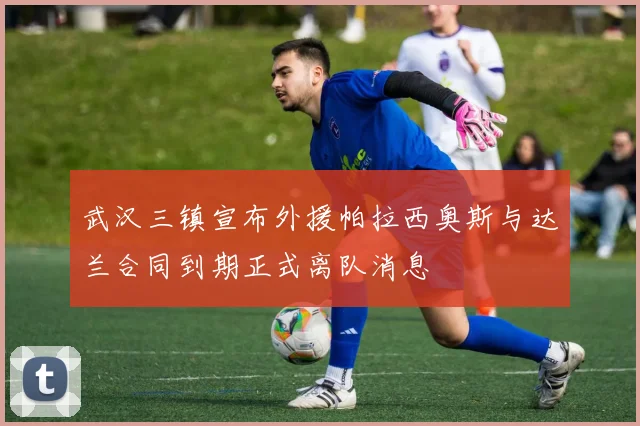 武汉三镇宣布外援帕拉西奥斯与达兰合同到期正式离队消息