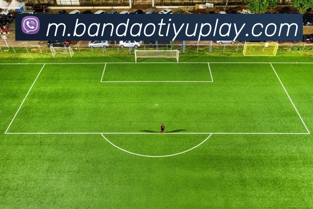 半岛体育品牌故事