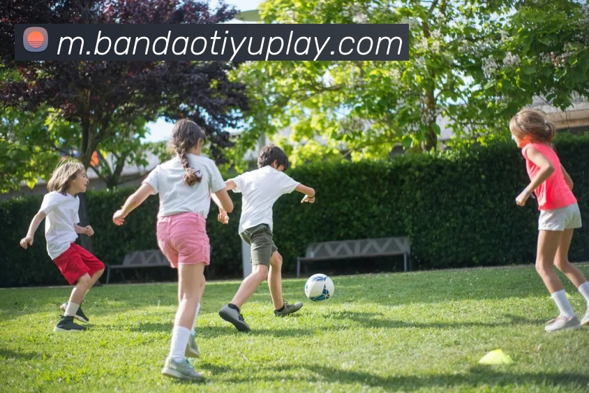 半岛体育服务体系