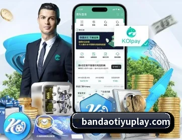 半岛体育 APP 深度功能 - bandao